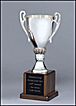 Silver Plated Trophy Cup T 34