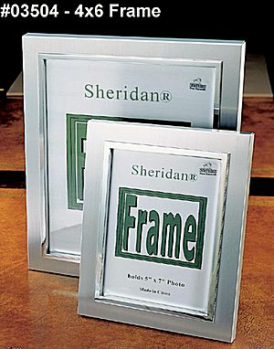 frame on frame 0330 - brushed aluminum frame avail. in 4X6 and larger