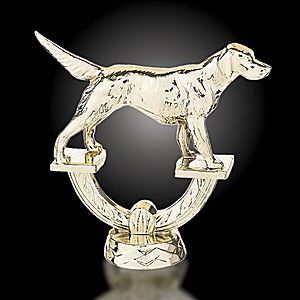 hunting trophy - Dog RS033391 - High quality goldtone metal Setter - English Field Position, mounted on base.