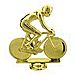 Bicycle Trophy