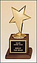 Gold Star Award - 105